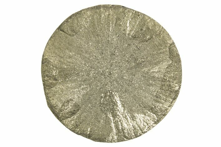 Radiant Pyrite Sun - Sparta, Illinois #342554